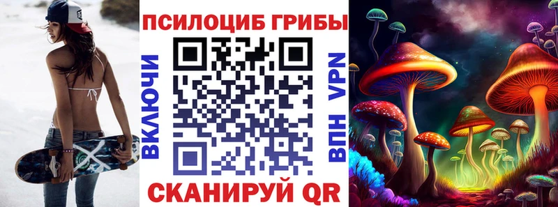 купить наркоту  Николаевск  Псилоцибиновые грибы ЛСД 